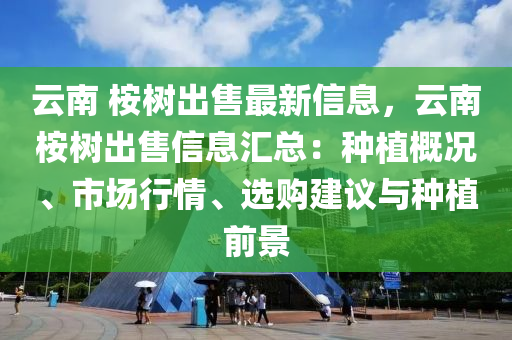 云南 桉树出售最新信息，云南桉树出售信息汇总：种植概况、市场行情、选购建议与种植前景