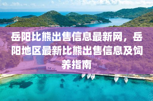 岳阳比熊出售信息最新网，岳阳地区最新比熊出售信息及饲养指南