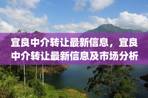 宜良中介转让最新信息，宜良中介转让最新信息及市场分析