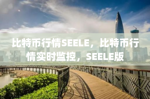 比特币行情SEELE，比特币行情实时监控，SEELE版