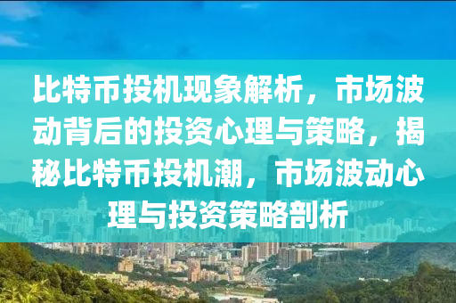 比特币投机现象解析，市场波动背后的投资心理与策略，揭秘比特币投机潮，市场波动心理与投资策略剖析