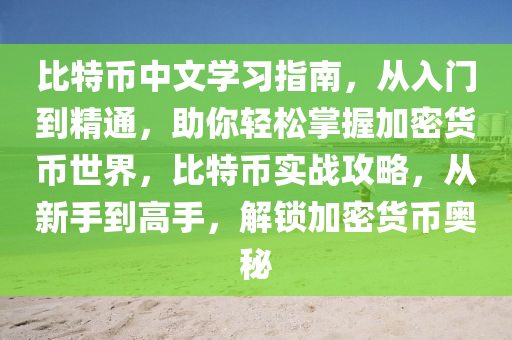 比特币中文学习指南，从入门到精通，助你轻松掌握加密货币世界，比特币实战攻略，从新手到高手，解锁加密货币奥秘