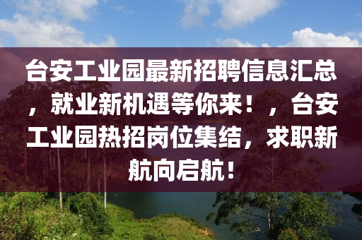 台安工业园最新招聘信息汇总，就业新机遇等你来！，台安工业园热招岗位集结，求职新航向启航！