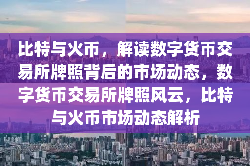 比特与火币，解读数字货币交易所牌照背后的市场动态，数字货币交易所牌照风云，比特与火币市场动态解析