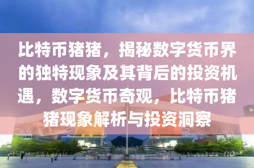 比特币猪猪，揭秘数字货币界的独特现象及其背后的投资机遇，数字货币奇观，比特币猪猪现象解析与投资洞察