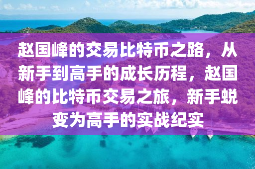 赵国峰的交易比特币之路，从新手到高手的成长历程，赵国峰的比特币交易之旅，新手蜕变为高手的实战纪实