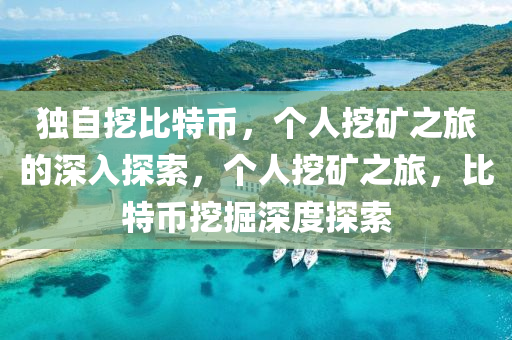 独自挖比特币，个人挖矿之旅的深入探索，个人挖矿之旅，比特币挖掘深度探索