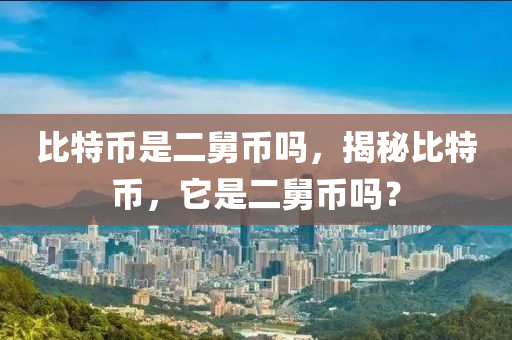 比特币是二舅币吗，揭秘比特币，它是二舅币吗？