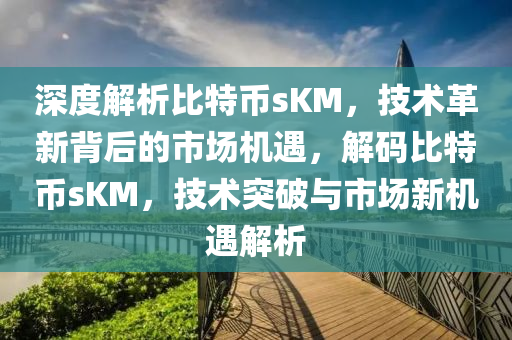 深度解析比特币sKM，技术革新背后的市场机遇，解码比特币sKM，技术突破与市场新机遇解析