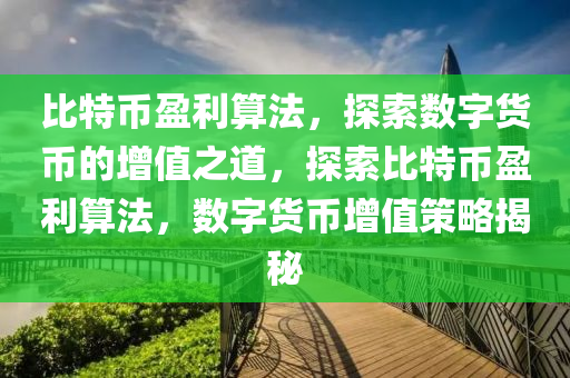 比特币盈利算法，探索数字货币的增值之道，探索比特币盈利算法，数字货币增值策略揭秘