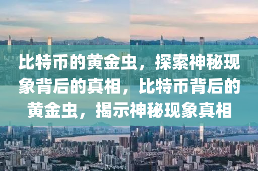 比特币的黄金虫，探索神秘现象背后的真相，比特币背后的黄金虫，揭示神秘现象真相