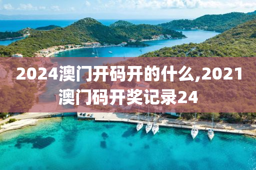 2024澳门开码开的什么,2021澳门码开奖记录24