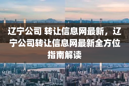 辽宁公司 转让信息网最新，辽宁公司转让信息网最新全方位指南解读