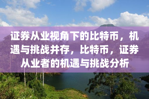 证券从业视角下的比特币，机遇与挑战并存，比特币，证券从业者的机遇与挑战分析