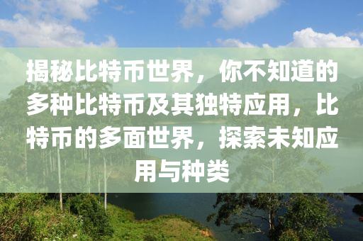 揭秘比特币世界，你不知道的多种比特币及其独特应用，比特币的多面世界，探索未知应用与种类