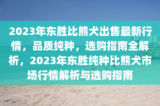 2023年东胜比熊犬出售最新行情，品质纯种，选购指南全解析，2023年东胜纯种比熊犬市场行情解析与选购指南