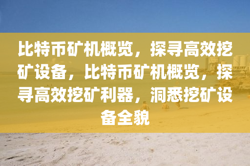 比特币矿机概览，探寻高效挖矿设备，比特币矿机概览，探寻高效挖矿利器，洞悉挖矿设备全貌