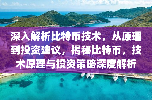 深入解析比特币技术，从原理到投资建议，揭秘比特币，技术原理与投资策略深度解析