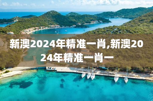 新澳2024年精准一肖,新澳2024年精准一肖一