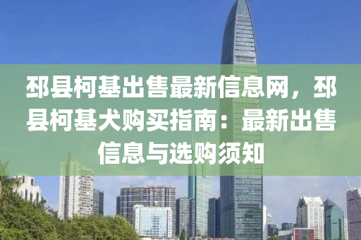 邳县柯基出售最新信息网，邳县柯基犬购买指南：最新出售信息与选购须知