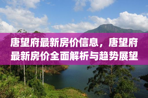 唐望府最新房价信息，唐望府最新房价全面解析与趋势展望