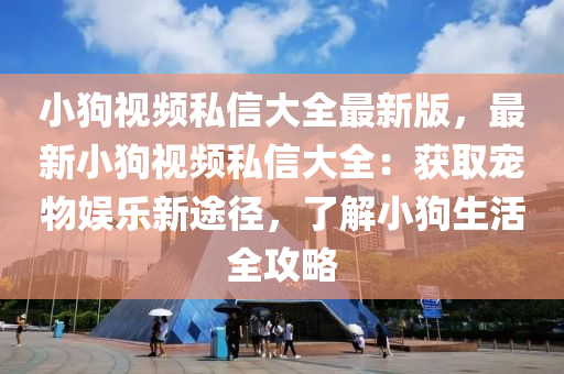 小狗视频私信大全最新版，最新小狗视频私信大全：获取宠物娱乐新途径，了解小狗生活全攻略