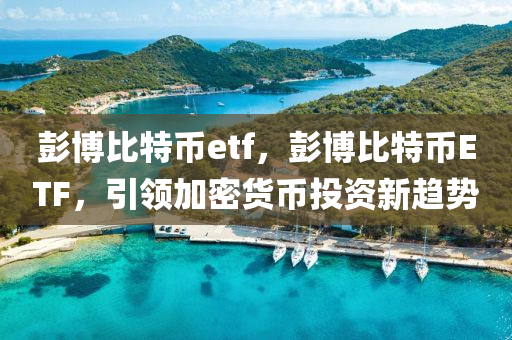 彭博比特币etf，彭博比特币ETF，引领加密货币投资新趋势