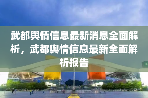 武都舆情信息最新消息全面解析，武都舆情信息最新全面解析报告