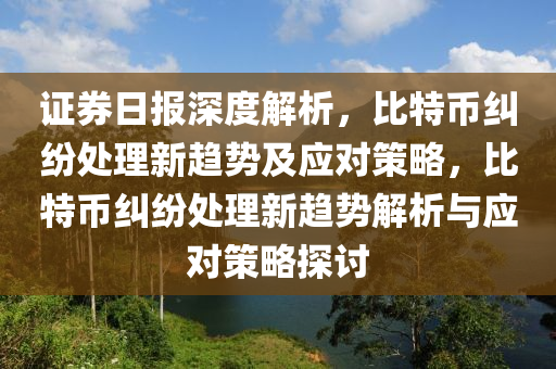 证券日报深度解析，比特币纠纷处理新趋势及应对策略，比特币纠纷处理新趋势解析与应对策略探讨