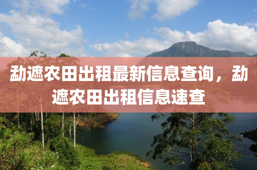 勐遮农田出租最新信息查询，勐遮农田出租信息速查