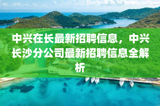 中兴在长最新招聘信息，中兴长沙分公司最新招聘信息全解析