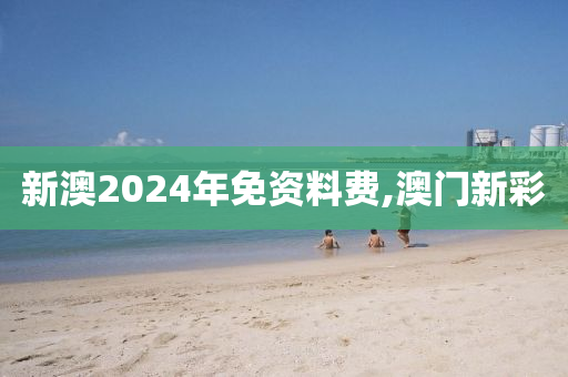 新澳2024年免资料费