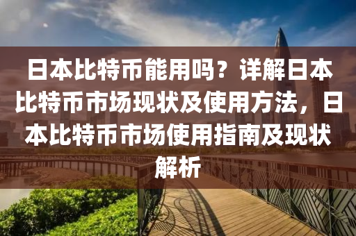 日本比特币能用吗？详解日本比特币市场现状及使用方法，日本比特币市场使用指南及现状解析