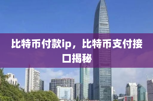 比特币付款ip，比特币支付接口揭秘