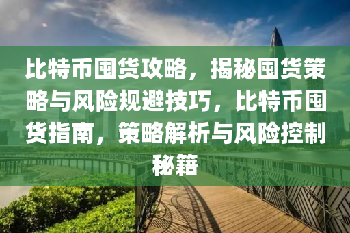 比特币囤货攻略，揭秘囤货策略与风险规避技巧，比特币囤货指南，策略解析与风险控制秘籍