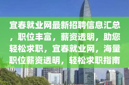 宜春就业网最新招聘信息汇总，职位丰富，薪资透明，助您轻松求职，宜春就业网，海量职位薪资透明，轻松求职指南