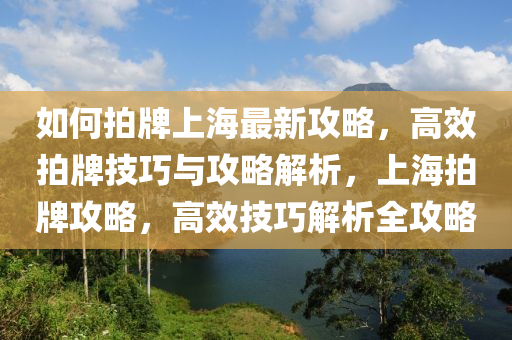 如何拍牌上海最新攻略，高效拍牌技巧与攻略解析，上海拍牌攻略，高效技巧解析全攻略