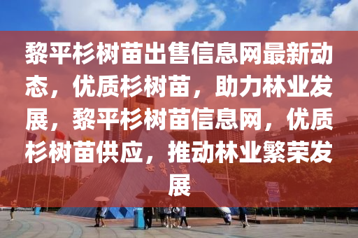 黎平杉树苗出售信息网最新动态，优质杉树苗，助力林业发展，黎平杉树苗信息网，优质杉树苗供应，推动林业繁荣发展