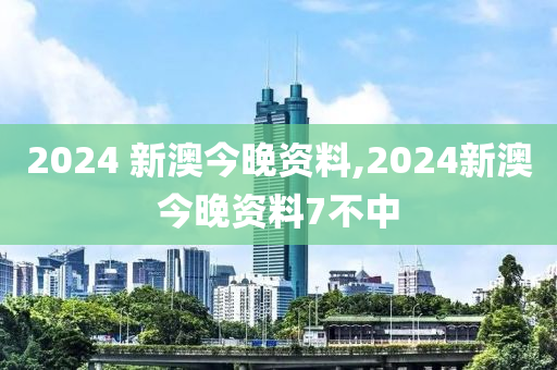 2024 新澳今晚资料