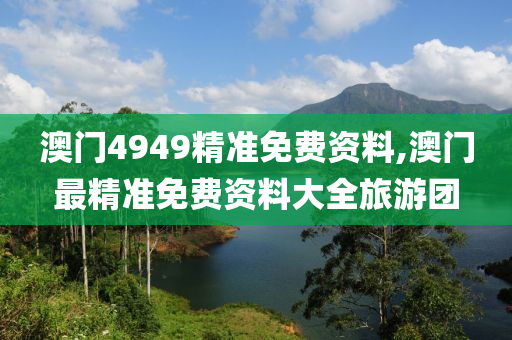 澳门4949精准免费资料,澳门最精准免费资料大全旅游团