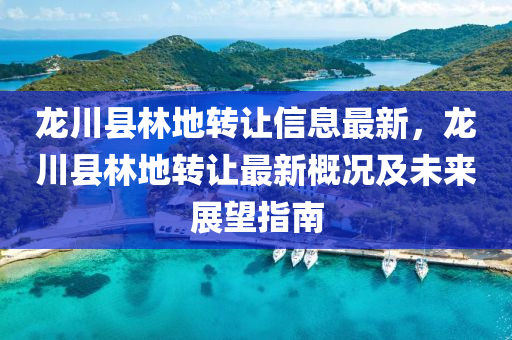 龙川县林地转让信息最新，龙川县林地转让最新概况及未来展望指南