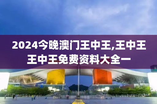 2024今晚澳门王中王,王中王王中王免费资料大全一