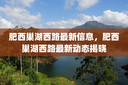 肥西巢湖西路最新信息，肥西巢湖西路最新动态揭晓