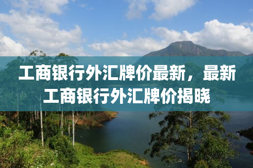 工商银行外汇牌价最新，最新工商银行外汇牌价揭晓