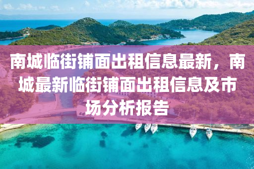 南城临街铺面出租信息最新，南城最新临街铺面出租信息及市场分析报告