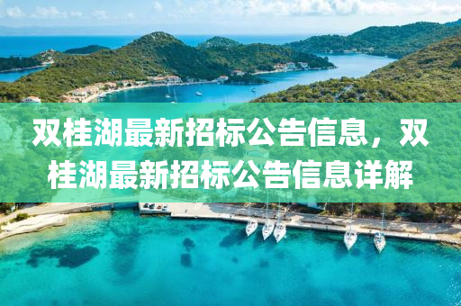 双桂湖最新招标公告信息，双桂湖最新招标公告信息详解