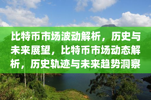 比特币市场波动解析，历史与未来展望，比特币市场动态解析，历史轨迹与未来趋势洞察