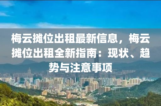 梅云摊位出租最新信息，梅云摊位出租全新指南：现状、趋势与注意事项