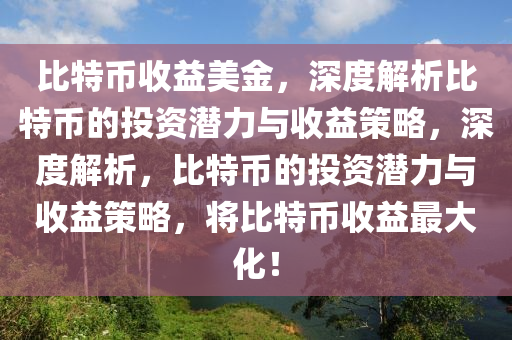 比特币收益美金，深度解析比特币的投资潜力与收益策略，深度解析，比特币的投资潜力与收益策略，将比特币收益最大化！