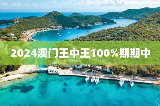 2024澳门王中王100%期期中